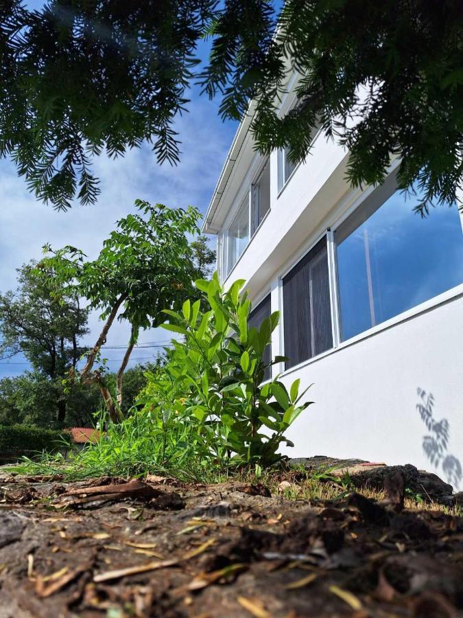 Apartman Glorija Kotor Luaran gambar